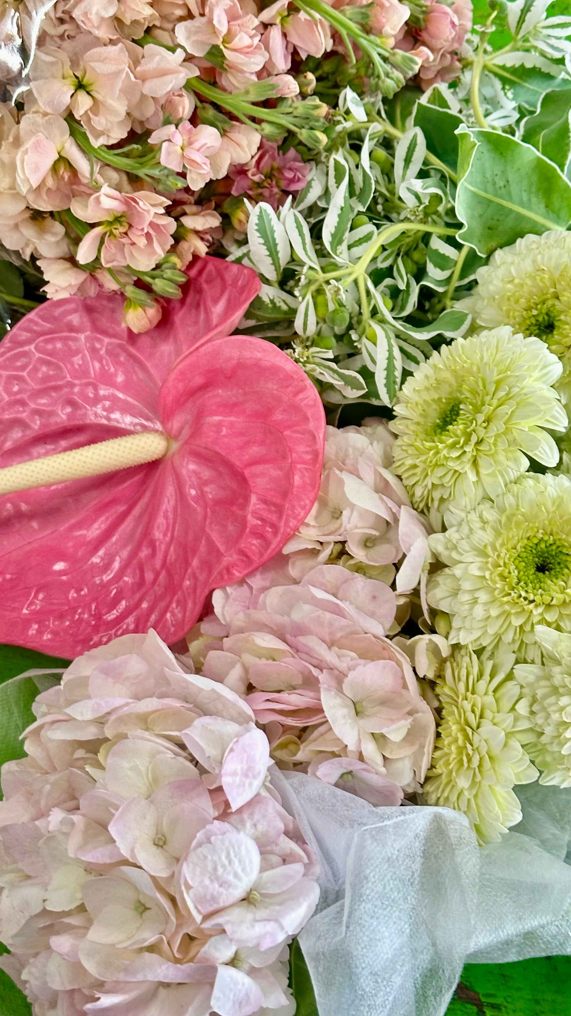 Custom Color - Medium Bespoke Size