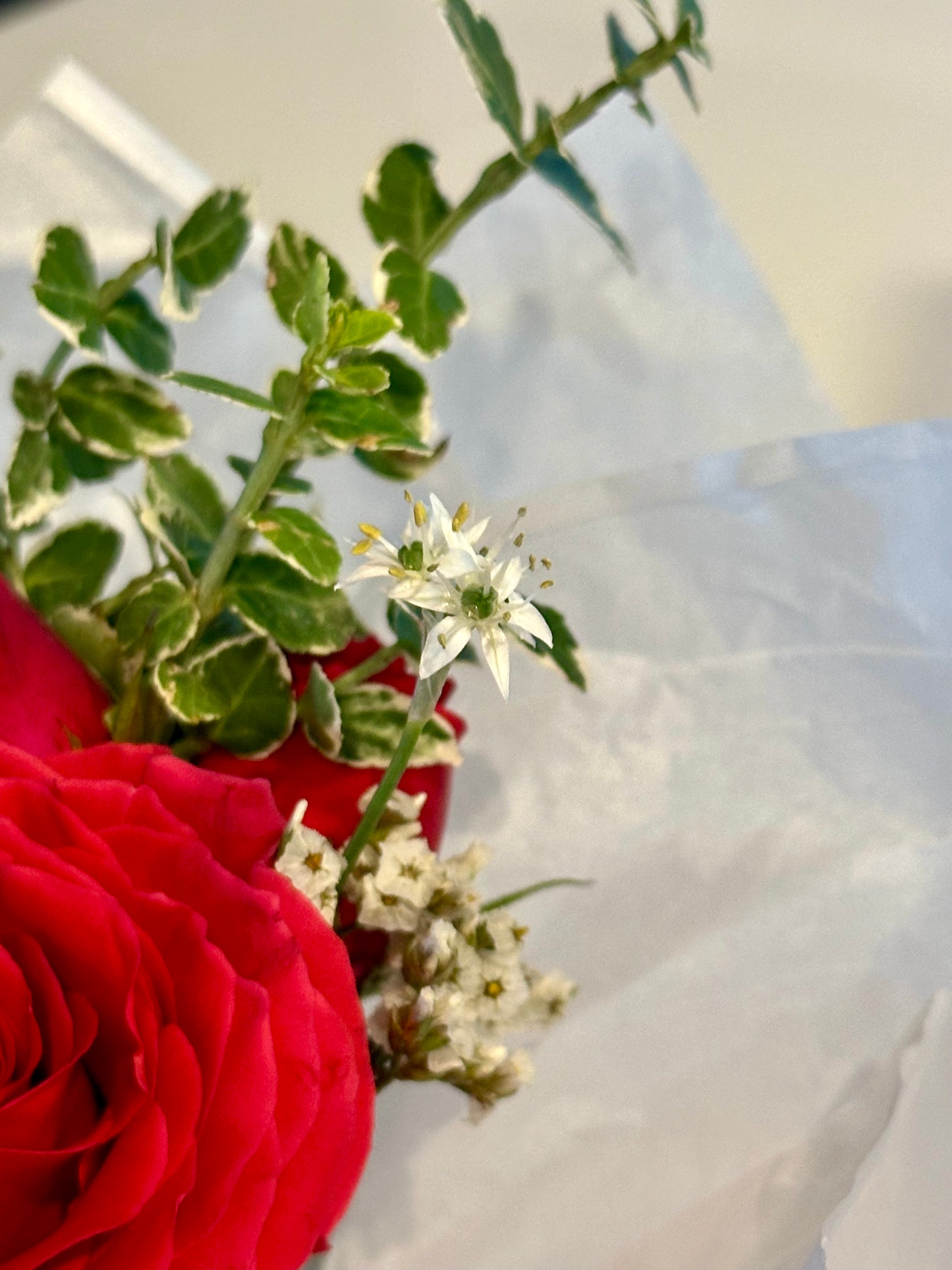 Homecoming Mini Bouquet & Boutonniere Set