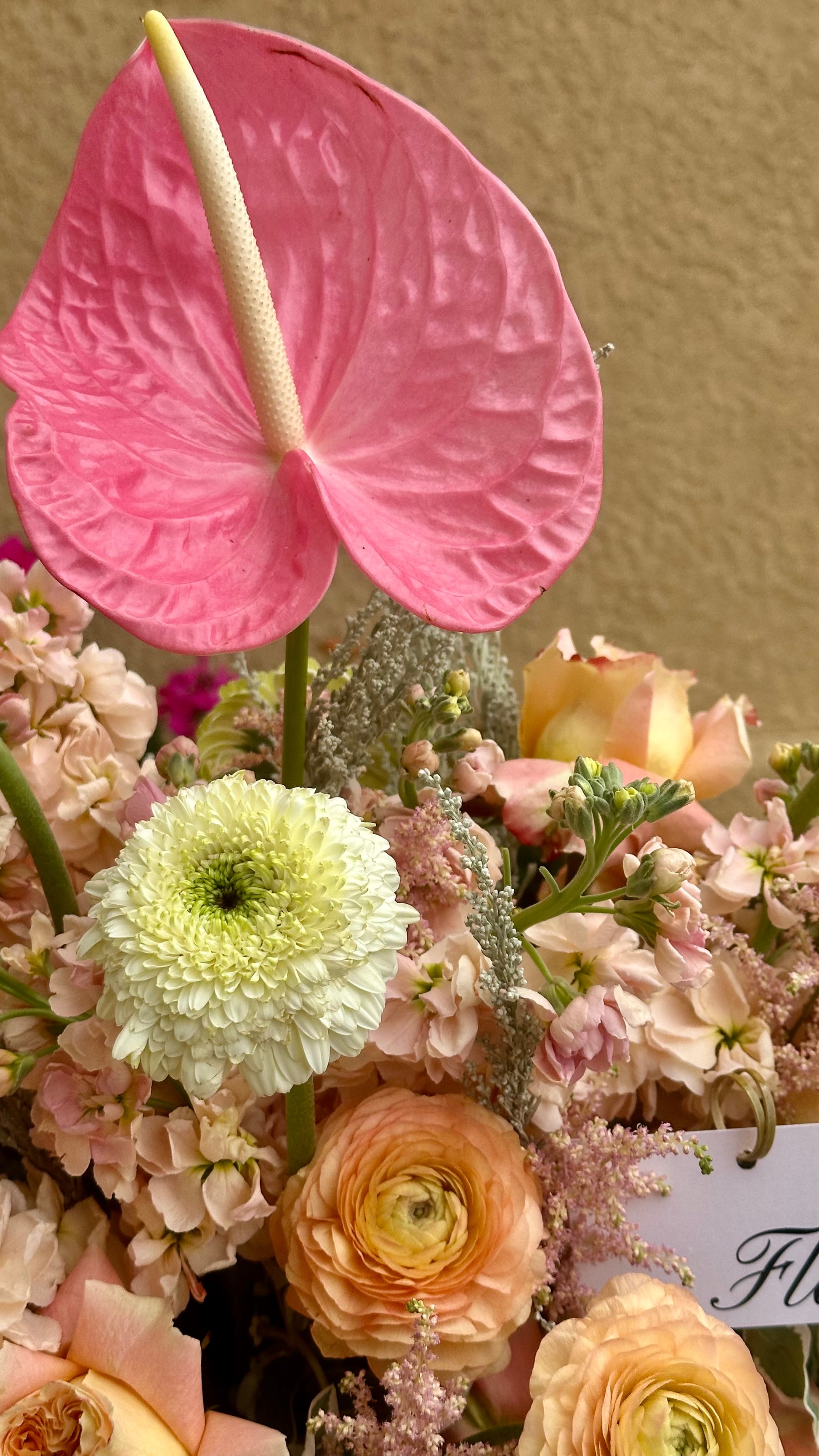 Custom Color - Medium Bespoke Size