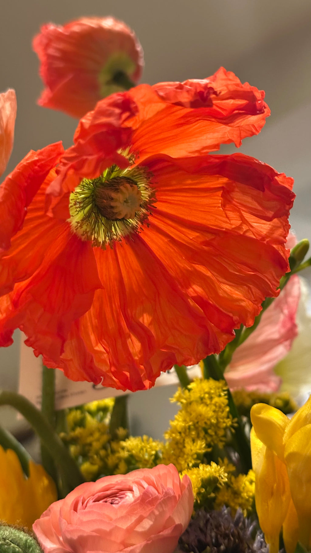 Custom color - Special Bespoke Arrangement