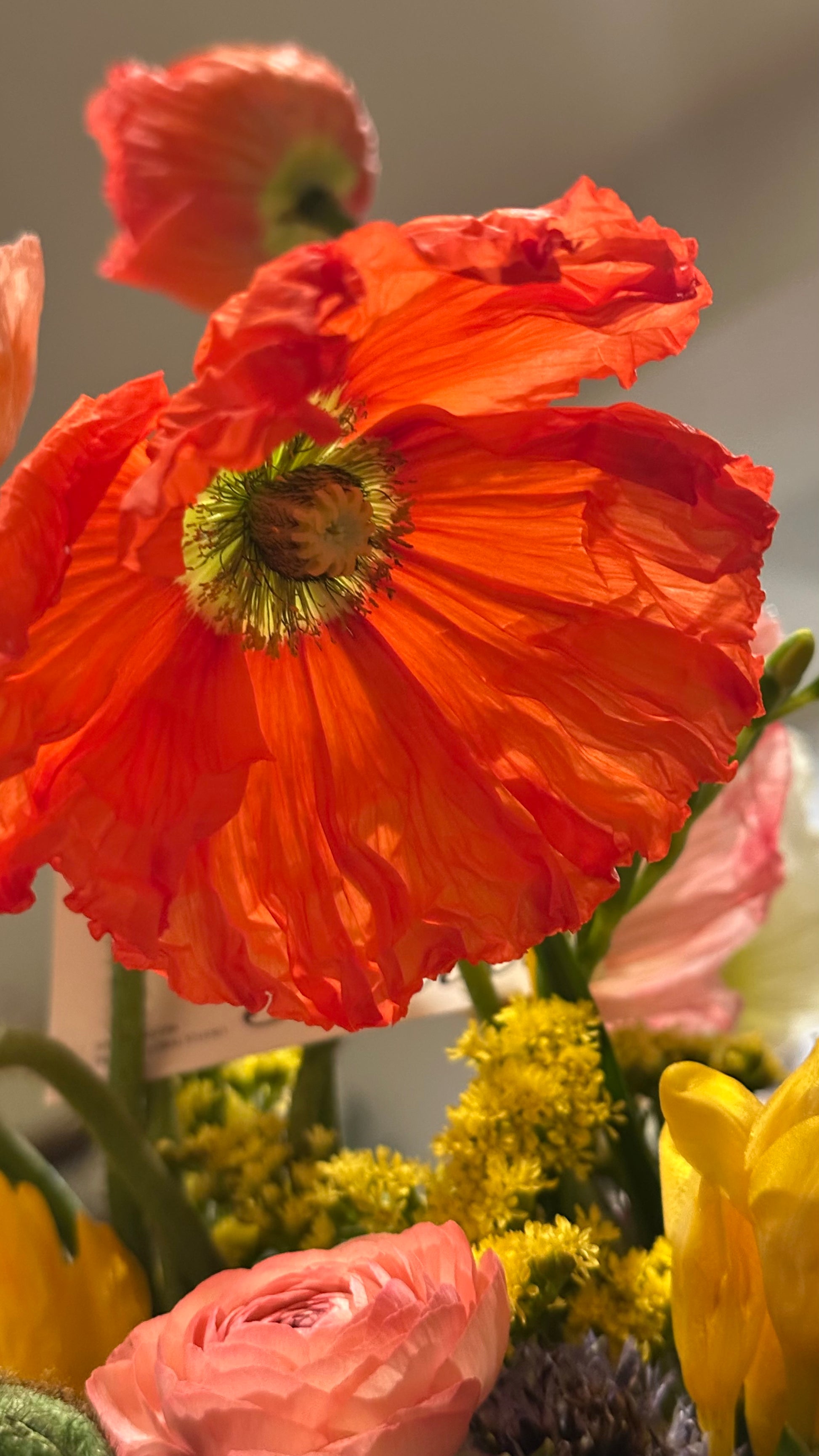 Custom color - Special Bespoke Arrangement